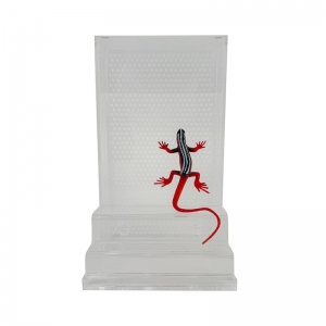 Acrylic Gecko Enclosure with Custom Options 