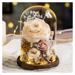 transparent plastic dome cover