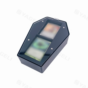 Coffin-Shaped Acrylic Card Storage Box 