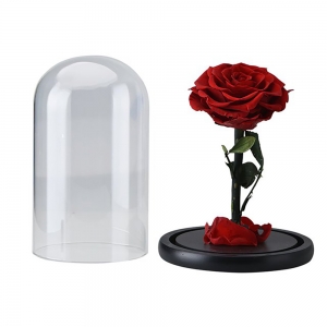 Clear Acrylic Preserved Flower Display Dome 