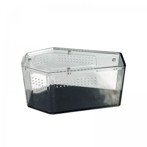 UV-Resistant Black-Back Acrylic Casket Spider Enclosure 