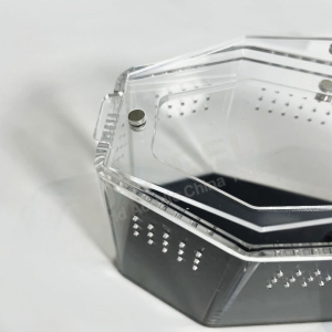 UV-Resistant Black-Back Acrylic Casket Spider Enclosure 