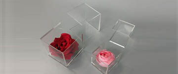 New single acrylic flower box coming 